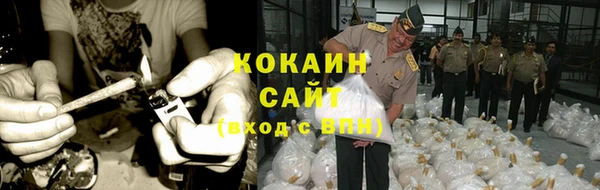 стаф Богородск
