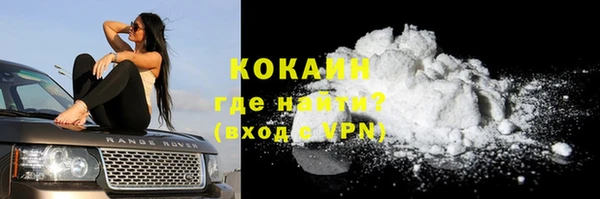 стаф Богородск
