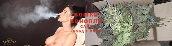 трава Богданович