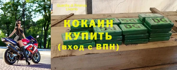стаф Богородск