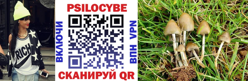 Галлюциногенные грибы Psilocybine cubensis  как найти   Пестово 